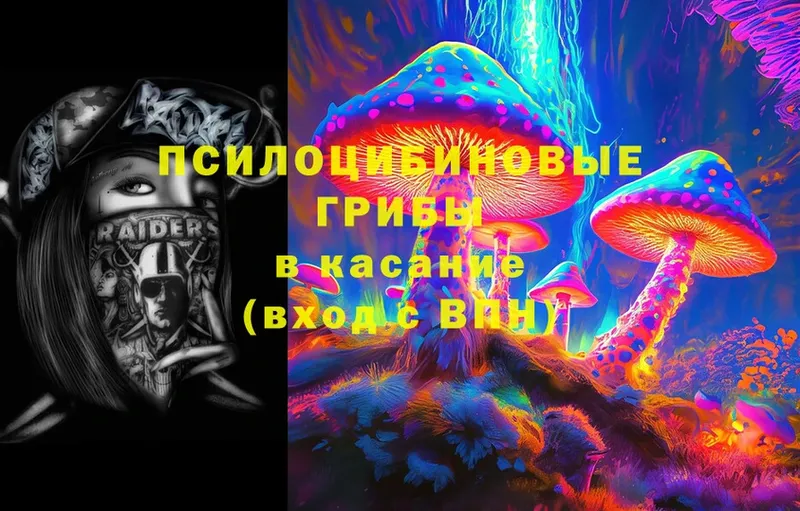 магазин продажи наркотиков  Ряжск  Псилоцибиновые грибы Cubensis 